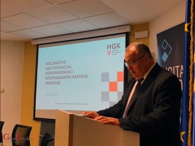 HGK organizirala panel Iseljeništvo kao potencijal demografskog i gospodarskog razvoja Hrvatske 
