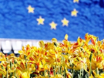 Otvoren natječaj iz zajedničke poljoprivredne politike EU