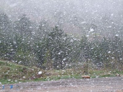 Pada gusti snijeg na Vratniku 