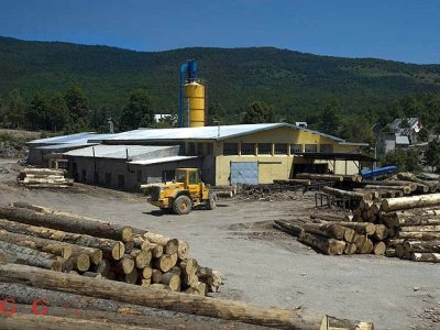Gasi li se drvna industrija u Ličko-senjskoj županiji