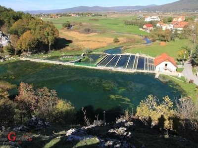 Hrvatski centar za autohtone vrste riba i rakova ... - dani otvorenih vrata