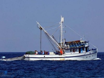 Za trajni prestanak ribolova - do 1. veljače