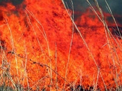 Hrvatske autoceste pokrenule istragu zbog nesreća izazvanih dimom