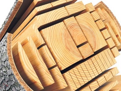 20 posto više drvne mase malim drvoprerađivačima