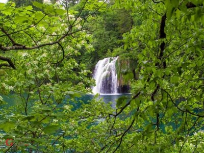 Obilježen Tjedan parkova Hrvatske u NP Plitvička jezera 