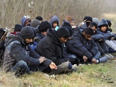 Nijemci traže obavezni seksualni odgoj za izbjeglice koje dolaze