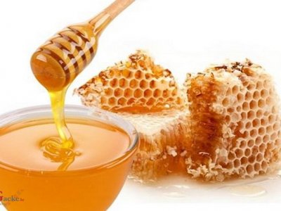 Školski medni dan s hrvatskih pčelinjaka postaje tradicija
