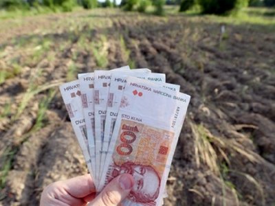 Započela isplata 1,3 milijarde kuna predujma poljoprivrednicima