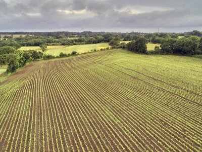 Produžen rok za podnošenje zahtjeva za obnovu poljoprivrednog zemljišta