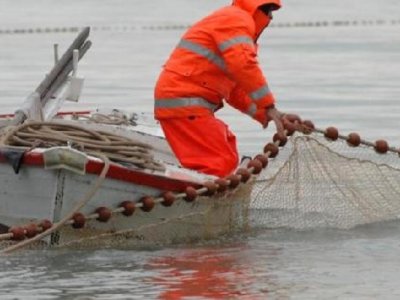 Europska komisija podržala zahtjeve hrvatskog Ministarstva poljoprivrede – stiže pomoć hrvatskim ribarima, prerađivačima i školjkarima