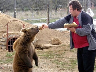 Macola pobijedio Društvo prijatelja životinja i neke europarlamentarce, dobio je dozvolu za medvjede