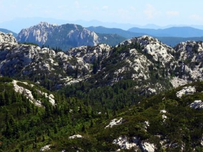 Javni natječaj za izbor ravnatelja Nacionalnog parka Sjeverni Velebit