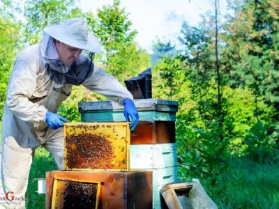 Predavanje za pčelare - Američka gnjiloća i ostale bolesti pčela 