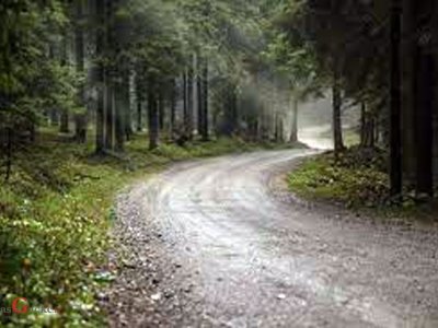 Ministarstvo poljoprivrede financira radove održavanja šumskih cesta na području primorske Hrvatske