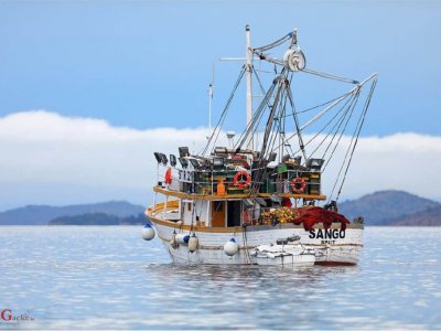 Odobren novi Program za ribarstvo i akvakulturu vrijedan 2,6 milijardi kuna