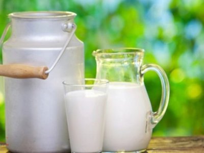 Trend pada proizvodnje mlijeka se nastavlja
